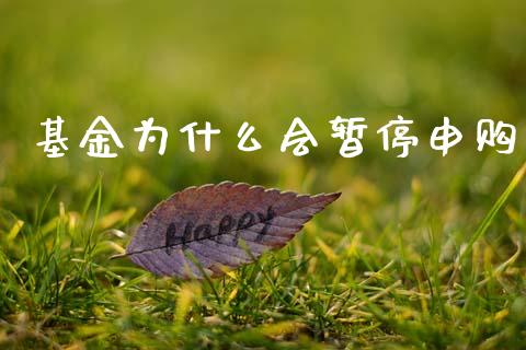 基金为什么会暂停申购_https://wap.sdyuehang.cn_产经新闻_第1张