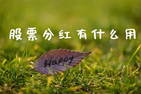 股票分红有什么用_https://wap.sdyuehang.cn_产经新闻_第1张