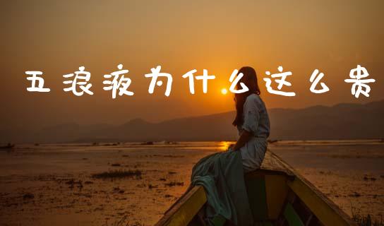 五浪液为什么这么贵_https://wap.sdyuehang.cn_债券资讯_第1张