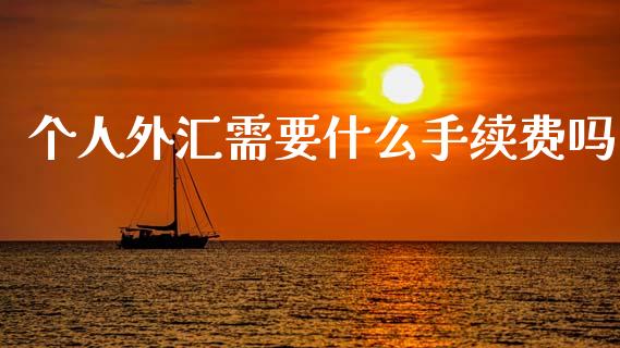 个人外汇需要什么手续费吗_https://wap.sdyuehang.cn_新股申购_第1张