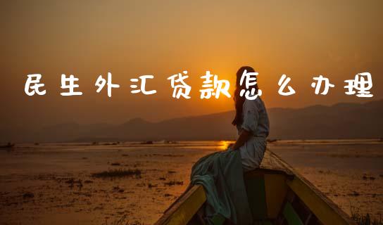 民生外汇贷款怎么办理_https://wap.sdyuehang.cn_产经新闻_第1张