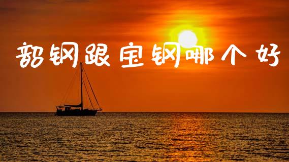 韶钢跟宝钢哪个好_https://wap.sdyuehang.cn_美股行情_第1张