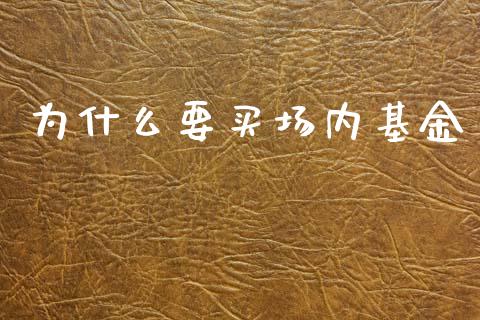 为什么要买场内基金_https://wap.sdyuehang.cn_美股行情_第1张