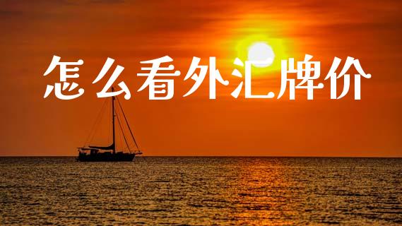 怎么看外汇牌价_https://wap.sdyuehang.cn_美股行情_第1张