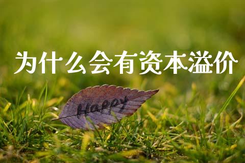 为什么会有资本溢价_https://wap.sdyuehang.cn_美股行情_第1张