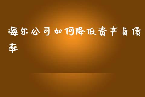 海尔公司如何降低资产负债率_https://wap.sdyuehang.cn_美股行情_第1张