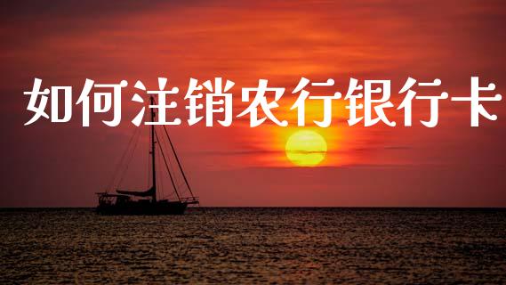 如何注销农行银行卡_https://wap.sdyuehang.cn_产经新闻_第1张