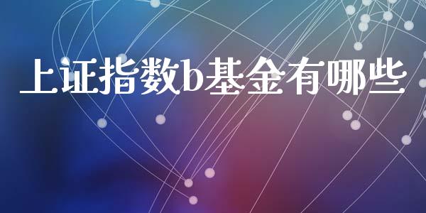 上证指数b基金有哪些_https://wap.sdyuehang.cn_美股行情_第1张
