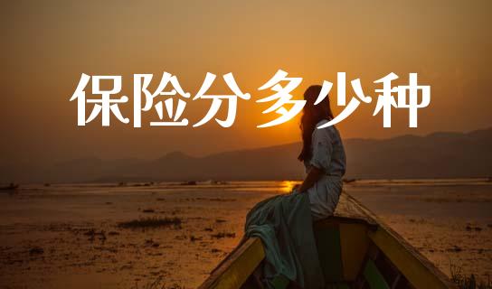 保险分多少种_https://wap.sdyuehang.cn_产经新闻_第1张