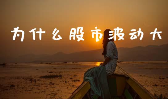 为什么股市波动大_https://wap.sdyuehang.cn_新股申购_第1张