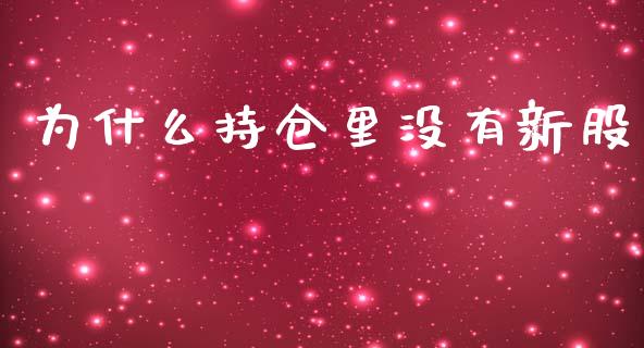 为什么持仓里没有新股_https://wap.sdyuehang.cn_产经新闻_第1张