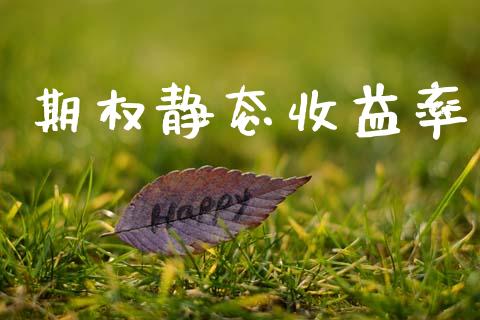 期权静态收益率_https://wap.sdyuehang.cn_债券资讯_第1张