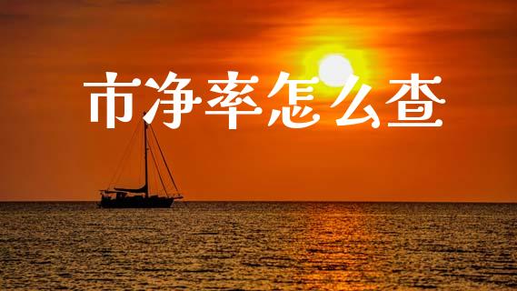 市净率怎么查_https://wap.sdyuehang.cn_美股行情_第1张