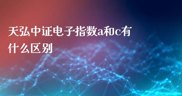 天弘中证电子指数a和c有什么区别_https://wap.sdyuehang.cn_新股申购_第1张