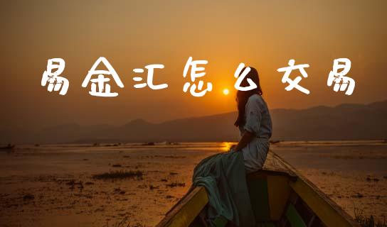 易金汇怎么交易_https://wap.sdyuehang.cn_产经新闻_第1张