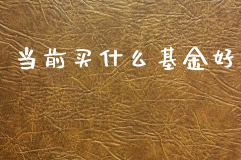 当前买什么基金好_https://wap.sdyuehang.cn_美股行情_第1张