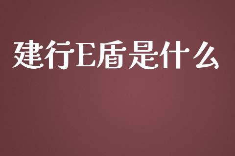 建行E盾是什么_https://wap.sdyuehang.cn_美股行情_第1张