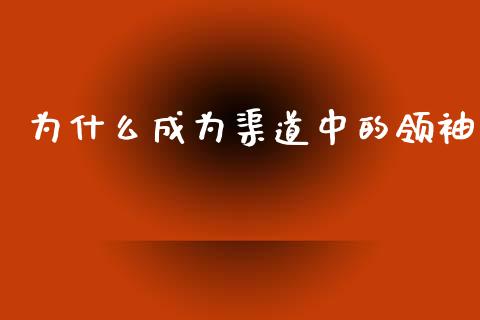 为什么成为渠道中的领袖_https://wap.sdyuehang.cn_产经新闻_第1张
