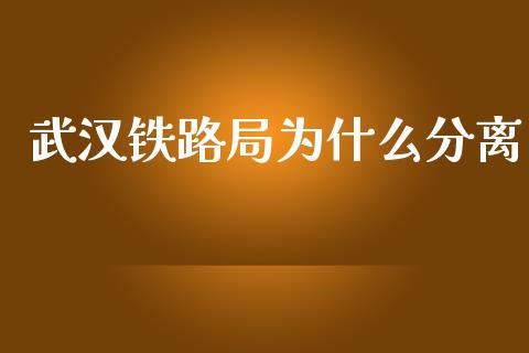 武汉铁路局为什么分离_https://wap.sdyuehang.cn_新股申购_第1张