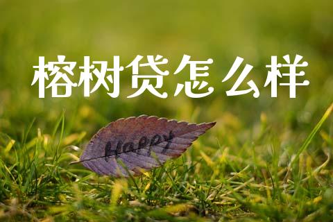 榕树贷怎么样_https://wap.sdyuehang.cn_债券资讯_第1张