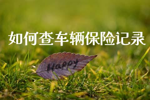 如何查车辆保险记录_https://wap.sdyuehang.cn_产经新闻_第1张