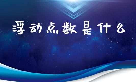 浮动点数是什么_https://wap.sdyuehang.cn_美股行情_第1张
