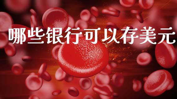 哪些银行可以存美元_https://wap.sdyuehang.cn_债券资讯_第1张
