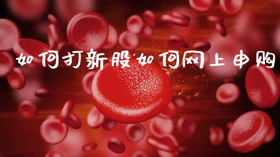 如何打新股如何网上申购_https://wap.sdyuehang.cn_美股行情_第1张