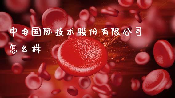 中电国际技术股份有限公司怎么样_https://wap.sdyuehang.cn_债券资讯_第1张