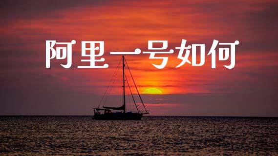 阿里一号如何_https://wap.sdyuehang.cn_产经新闻_第1张