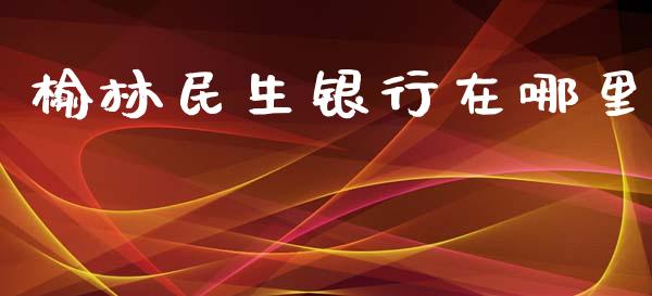 榆林民生银行在哪里_https://wap.sdyuehang.cn_美股行情_第1张