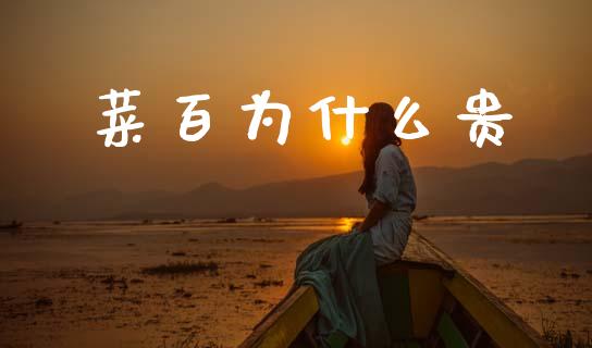 菜百为什么贵_https://wap.sdyuehang.cn_债券资讯_第1张