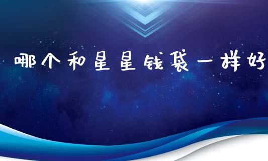 哪个和星星钱袋一样好_https://wap.sdyuehang.cn_产经新闻_第1张