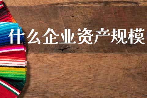 什么企业资产规模_https://wap.sdyuehang.cn_新股申购_第1张