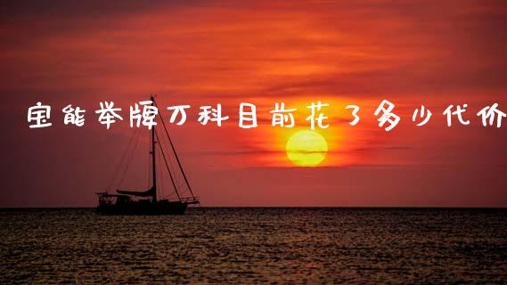 宝能举牌万科目前花了多少代价_https://wap.sdyuehang.cn_美股行情_第1张