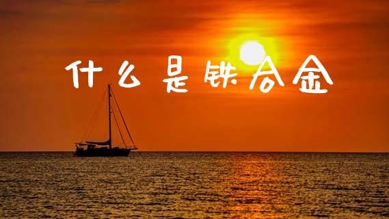 什么是铁合金_https://wap.sdyuehang.cn_债券资讯_第1张