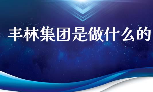 丰林集团是做什么的_https://wap.sdyuehang.cn_债券资讯_第1张