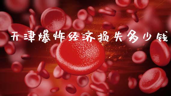 天津爆炸经济损失多少钱_https://wap.sdyuehang.cn_债券资讯_第1张