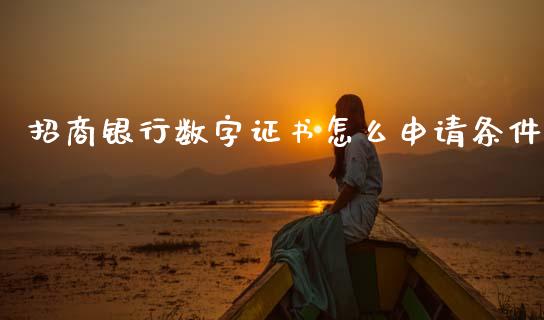 招商银行数字证书怎么申请条件_https://wap.sdyuehang.cn_美股行情_第1张