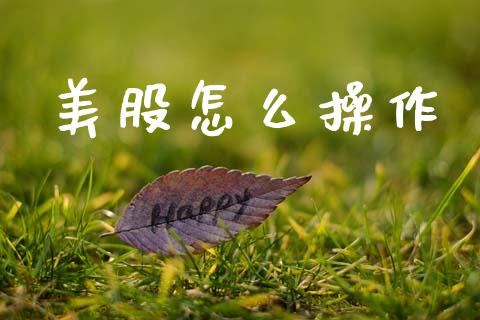 美股怎么操作_https://wap.sdyuehang.cn_债券资讯_第1张