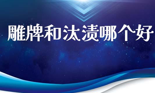 雕牌和汰渍哪个好_https://wap.sdyuehang.cn_新股申购_第1张