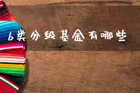 b类分级基金有哪些_https://wap.sdyuehang.cn_美股行情_第1张