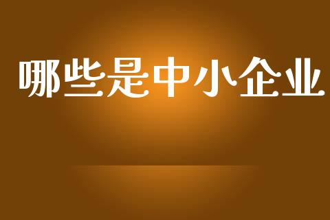 哪些是中小企业_https://wap.sdyuehang.cn_债券资讯_第1张