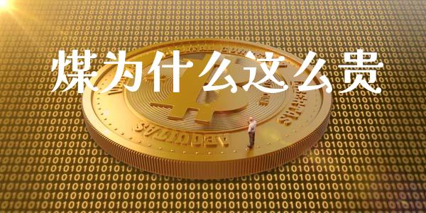 煤为什么这么贵_https://wap.sdyuehang.cn_新股申购_第1张