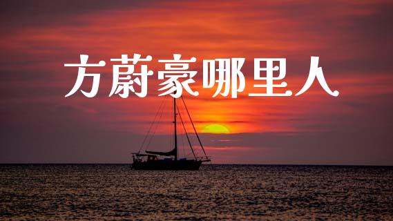 方蔚豪哪里人_https://wap.sdyuehang.cn_债券资讯_第1张