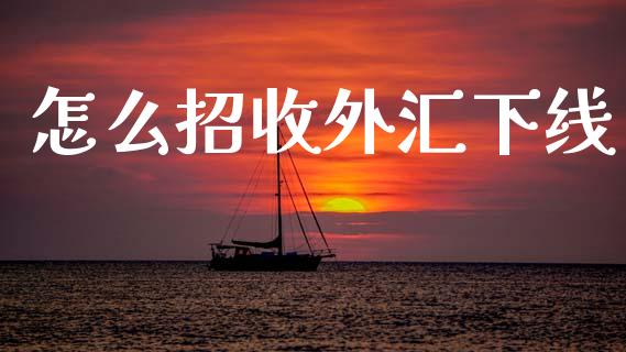 怎么招收外汇下线_https://wap.sdyuehang.cn_新股申购_第1张