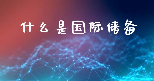 什么是国际储备_https://wap.sdyuehang.cn_产经新闻_第1张