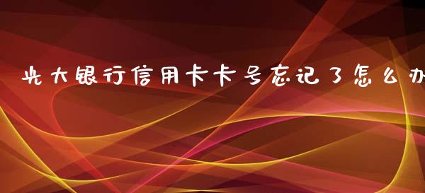 光大银行信用卡卡号忘记了怎么办_https://wap.sdyuehang.cn_产经新闻_第1张