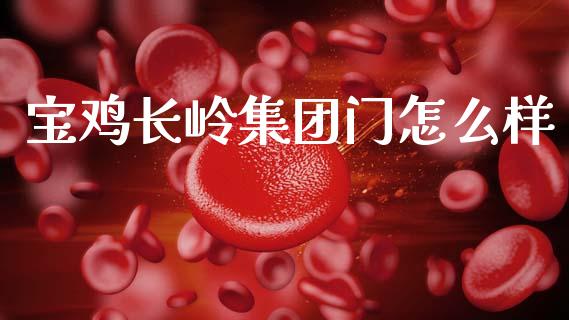 宝鸡长岭集团门怎么样_https://wap.sdyuehang.cn_美股行情_第1张