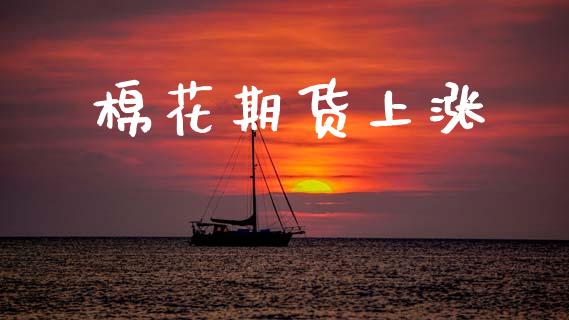 棉花期货上涨_https://wap.sdyuehang.cn_新股申购_第1张